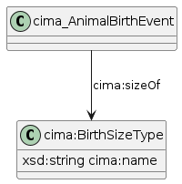 data.mimiro.io.cima.BirthSizeType.png